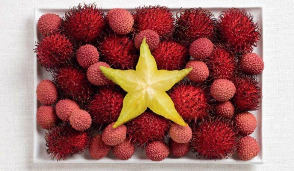 vietnam-food-flag_600.jpg