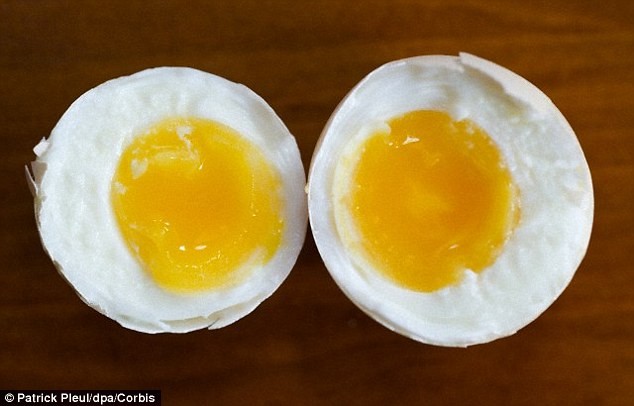 259A2D9C00000578-2950638-The_reason_the_egg_appear