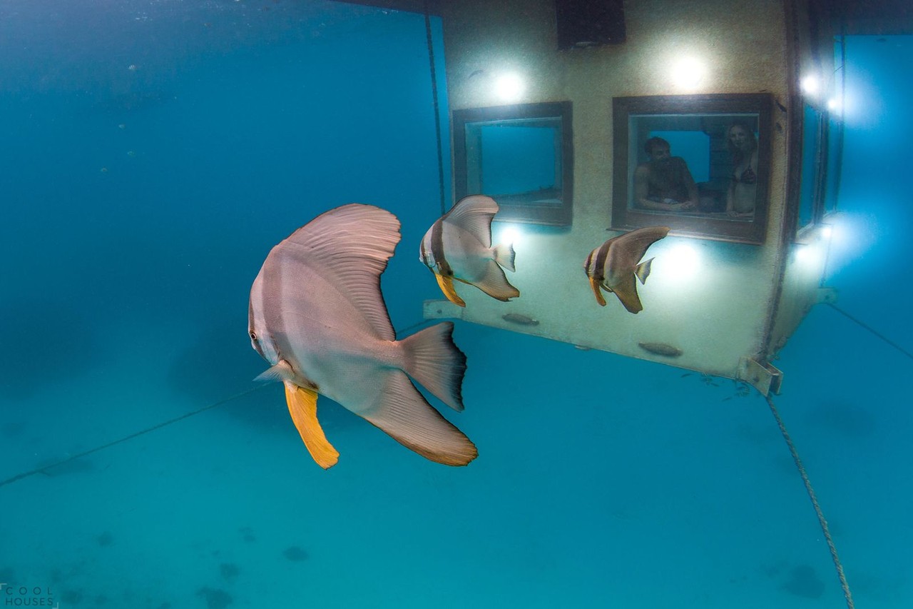 The-Manta-Resort.jpg