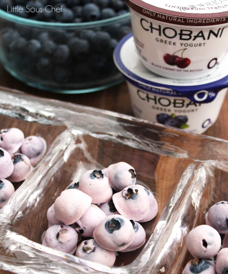 LSC-Frozen-Greek-Yogurt-Blueberries-IMG_6539.jpg