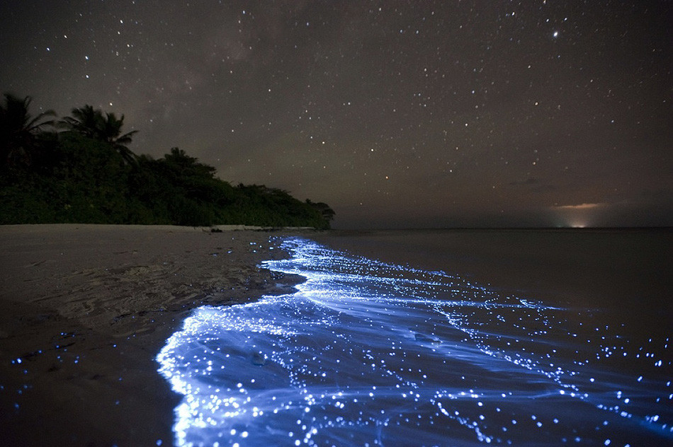 vaadhoo-maldives-bioluminescent-beach.jpg