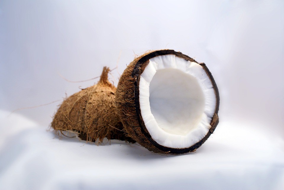 coconut-1125_960_720.jpg