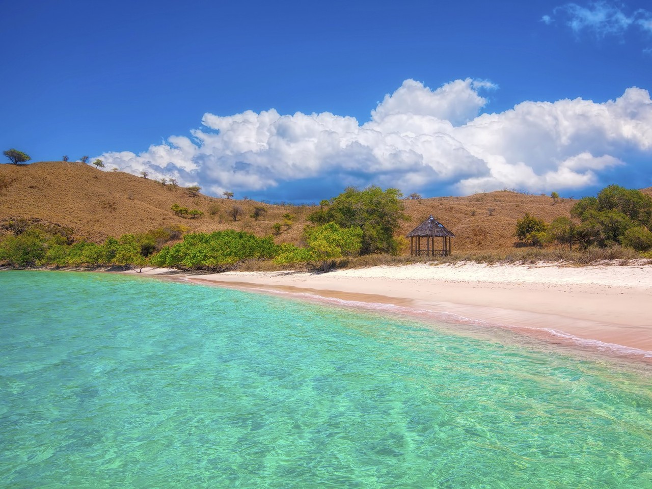 pink-beaches-komodo-beach-cr-getty-451339933.jpg