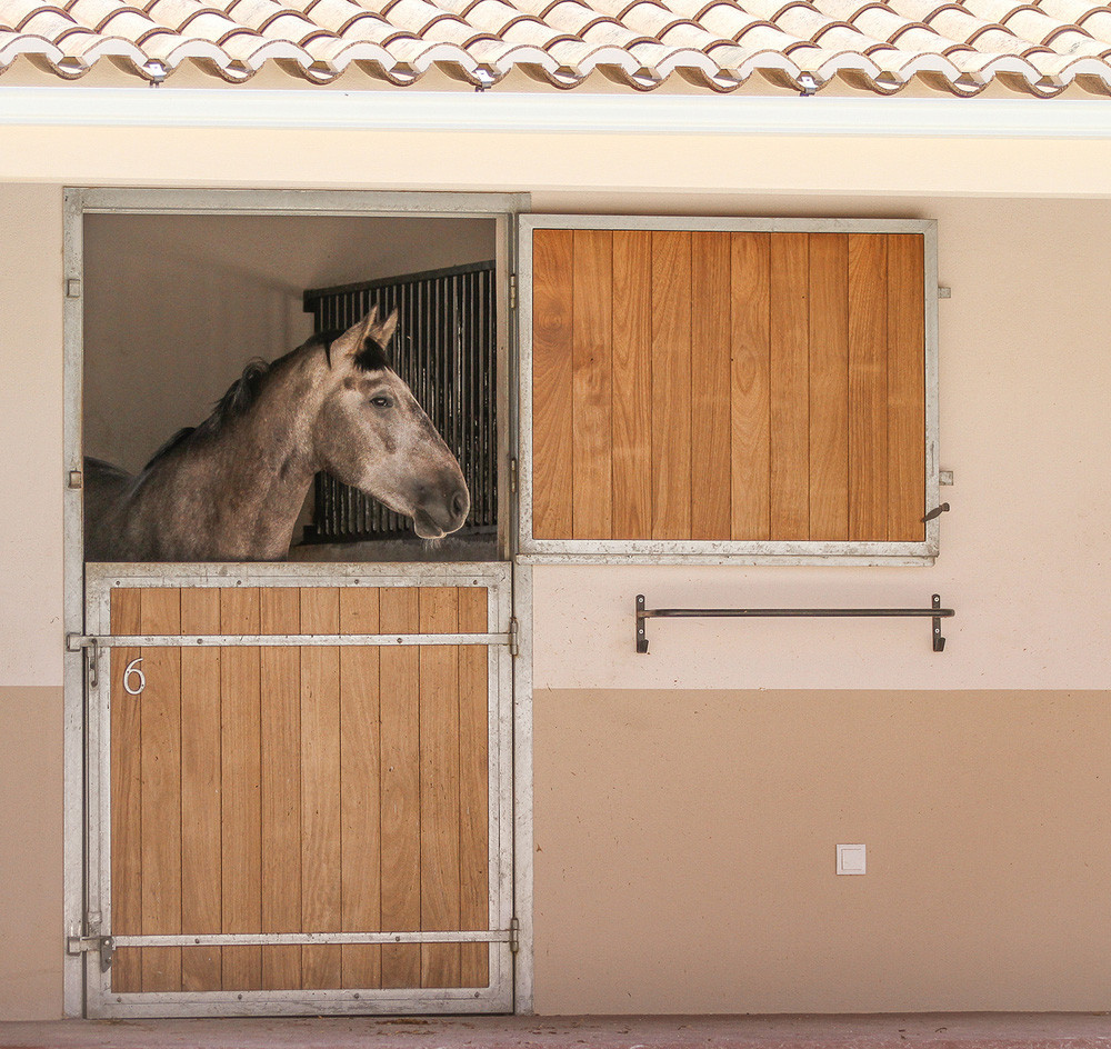 Equestre-8671.jpg