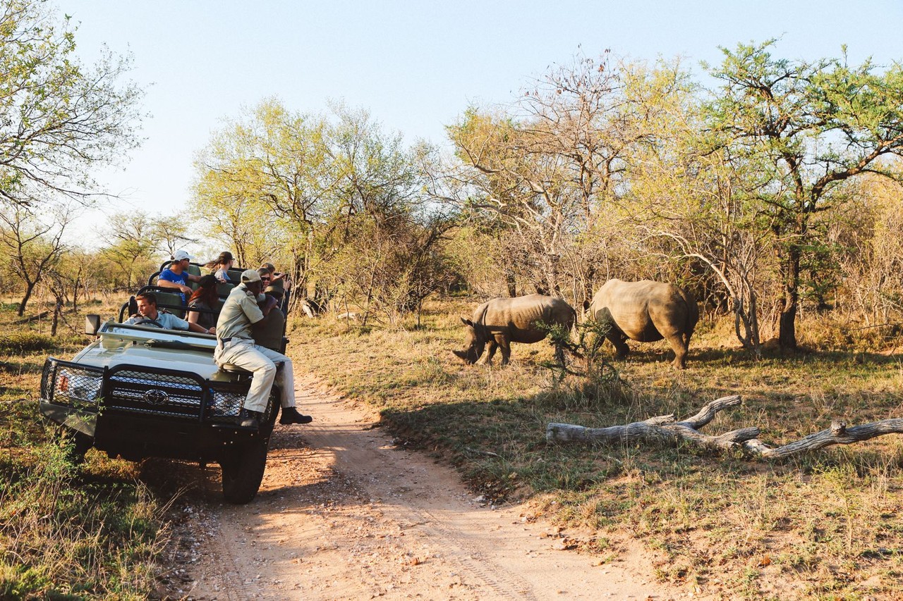 Safari-in-South-Africa-038.jpg