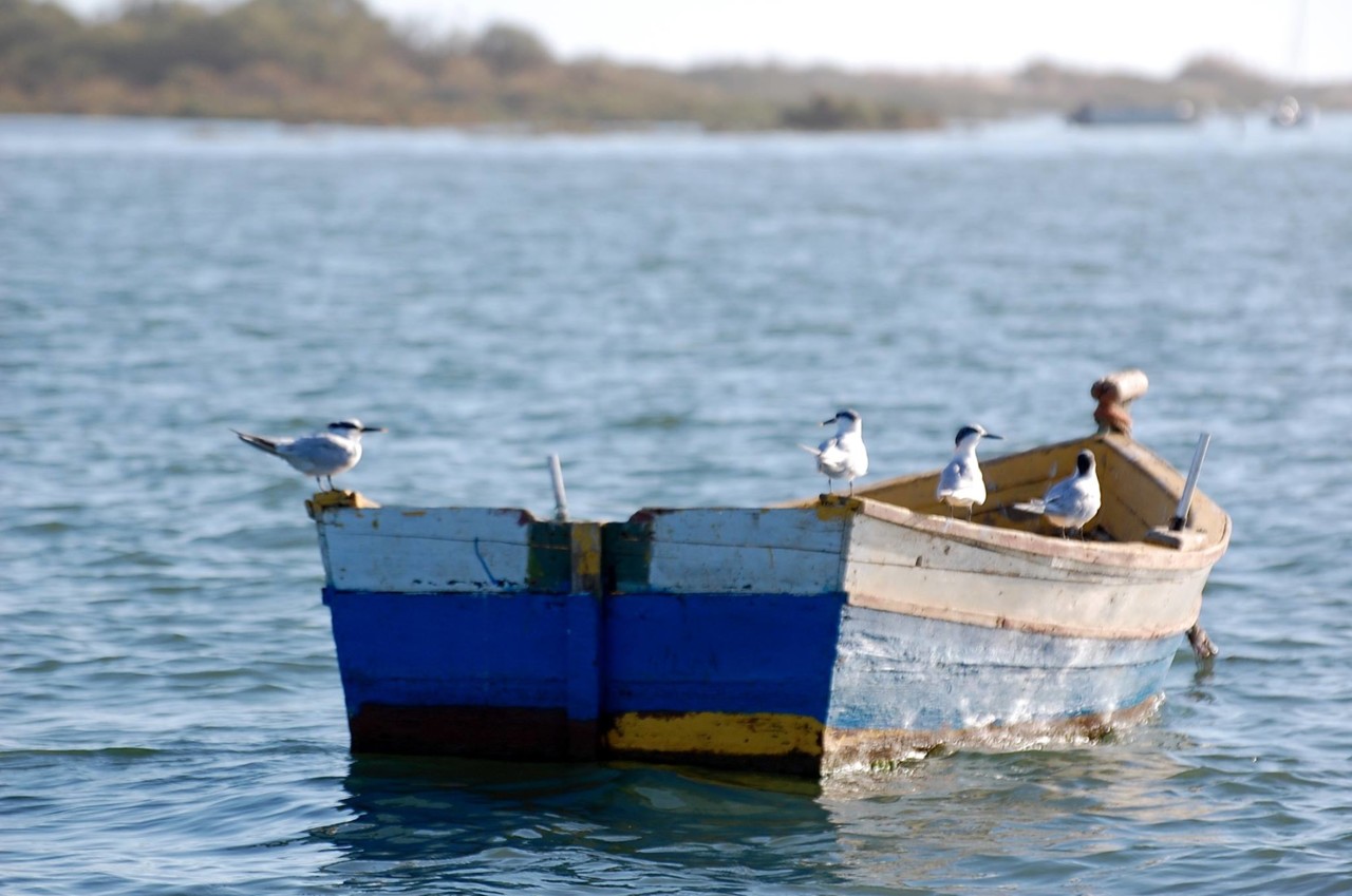 tavira.jpg