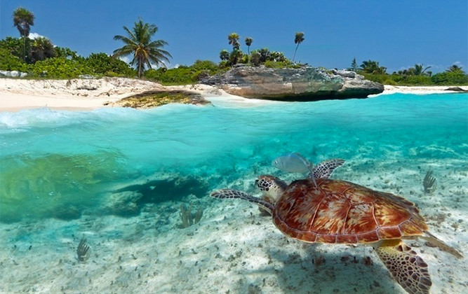 Zanzibar-Holiday-Special-Gold-Zanzibar-beach-house