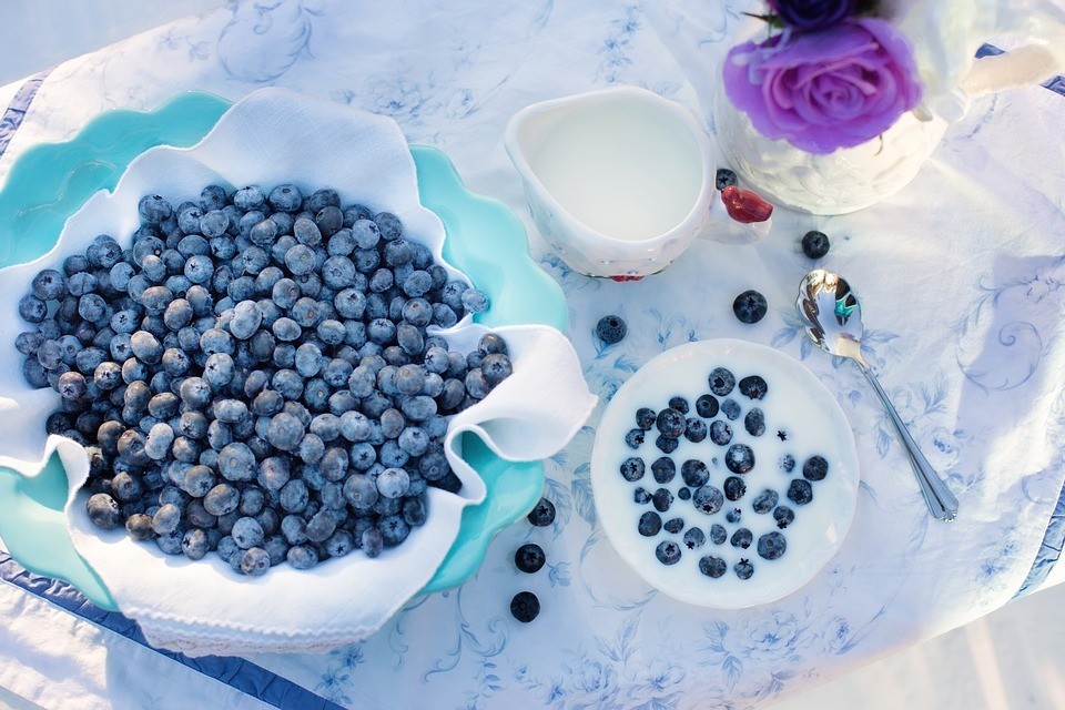 blueberries-1576409_960_720.jpg