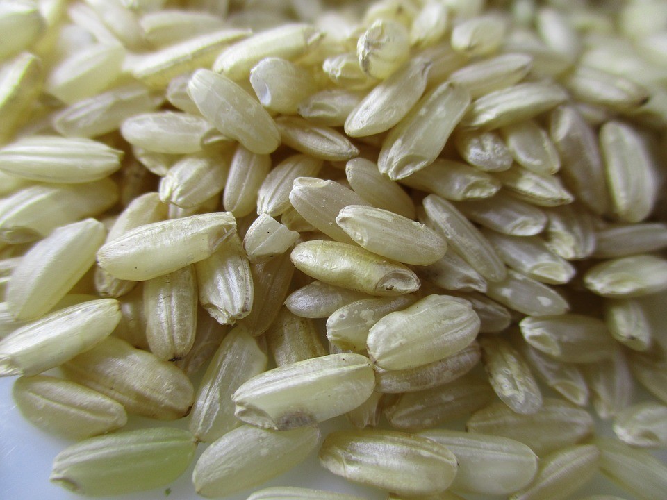 rice-2351272_960_720.jpg