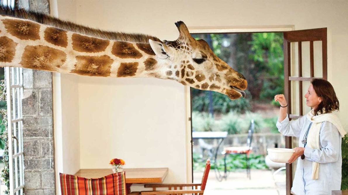 Feeding-Time-at-Giraffe-Manor.jpg