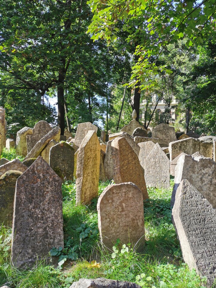 3. visitar o cemitério judeu