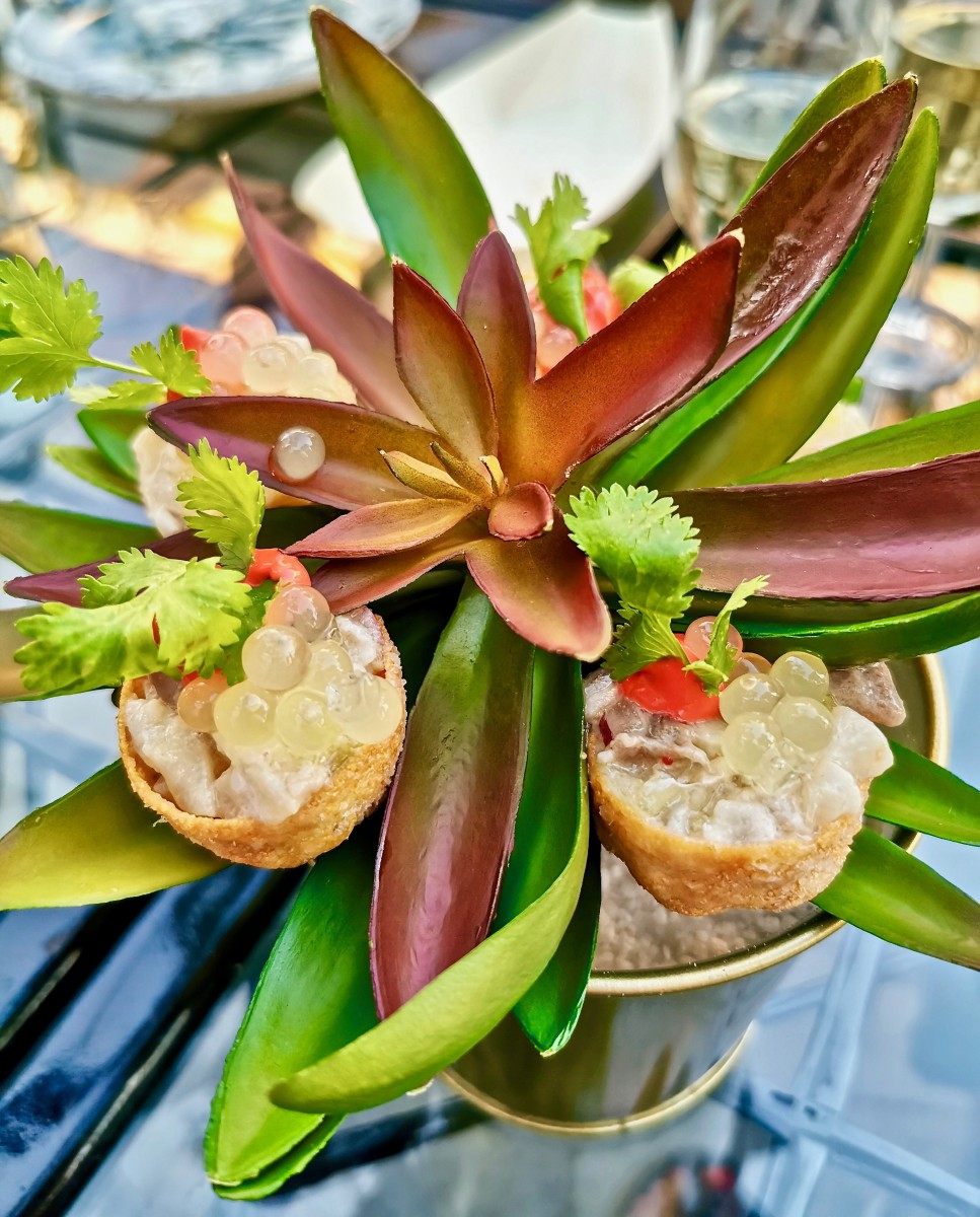 ceviche baby de corvina