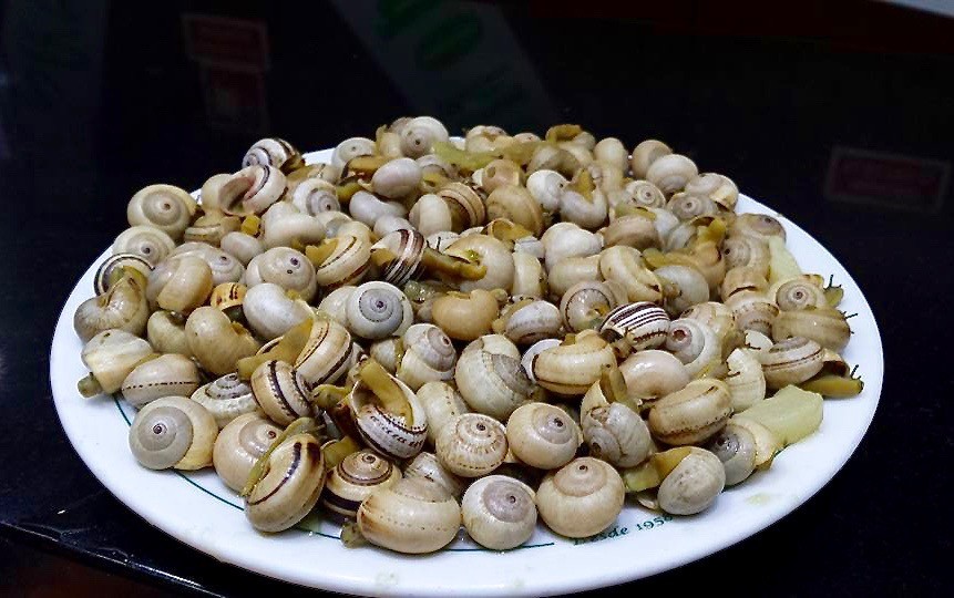 caracóis