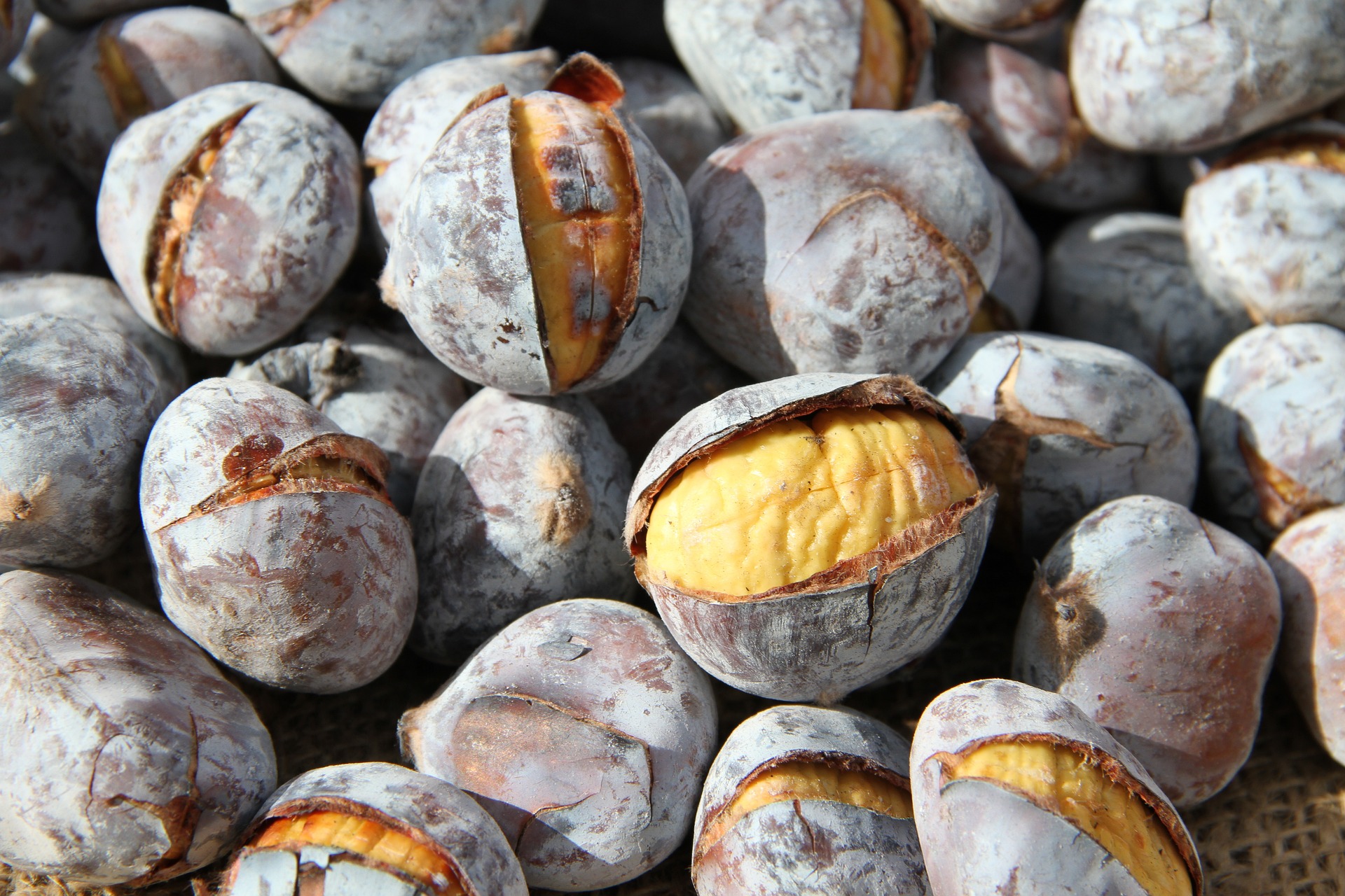 castanhas de são martinho