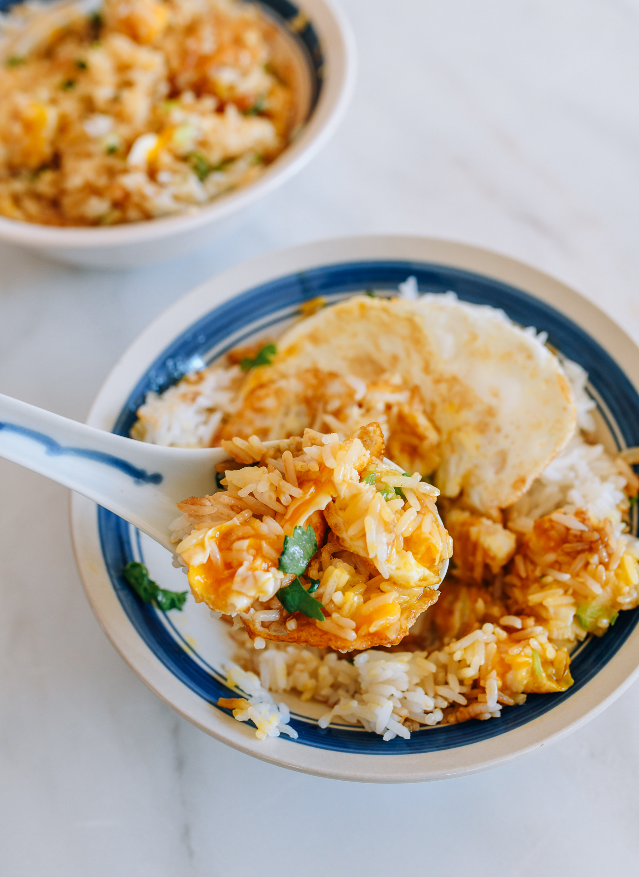 chinese-mixed-rice-ban-fan-9