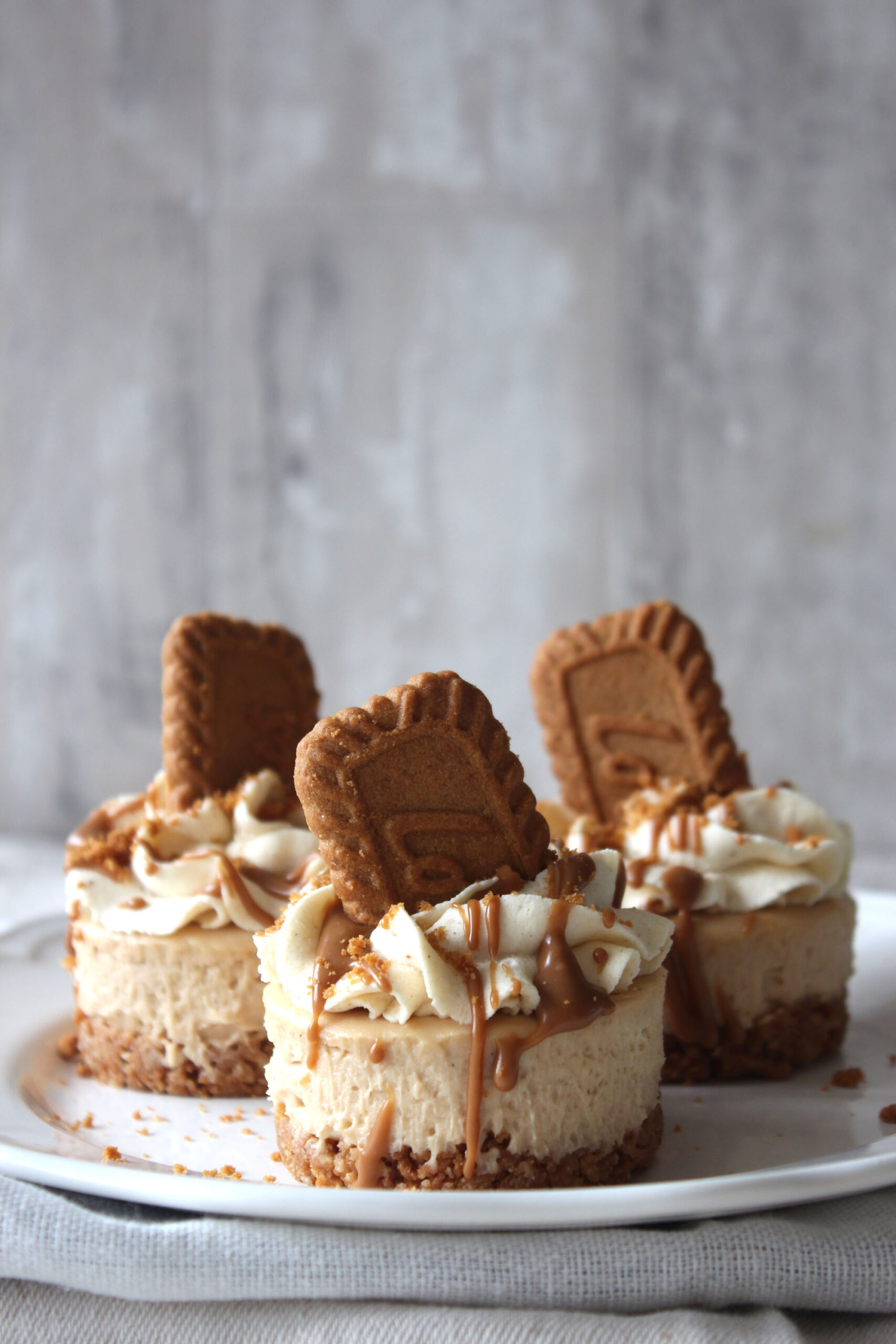 lotus-cheesecake8