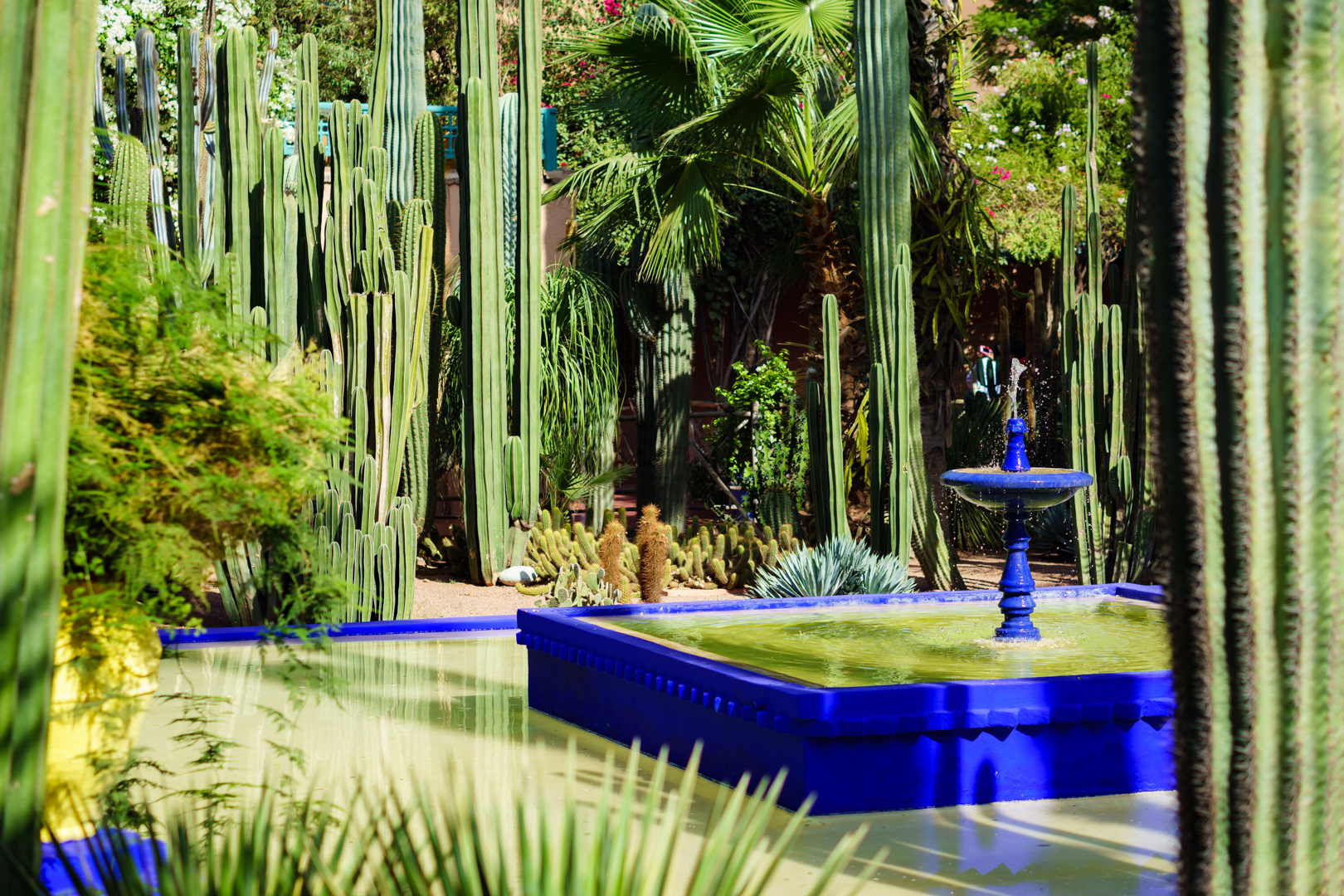 visitar os jardins majourelle