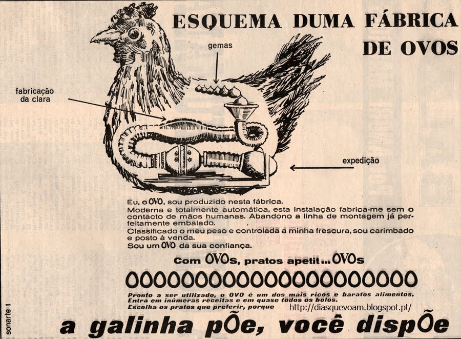 a galinha põe… você dispõe